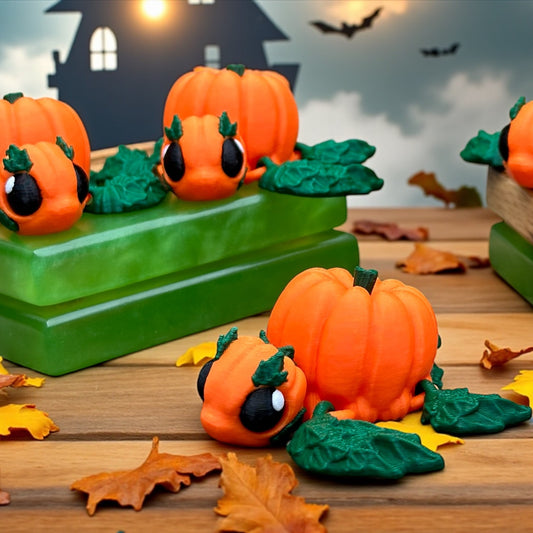 Pumpkin Turtle
