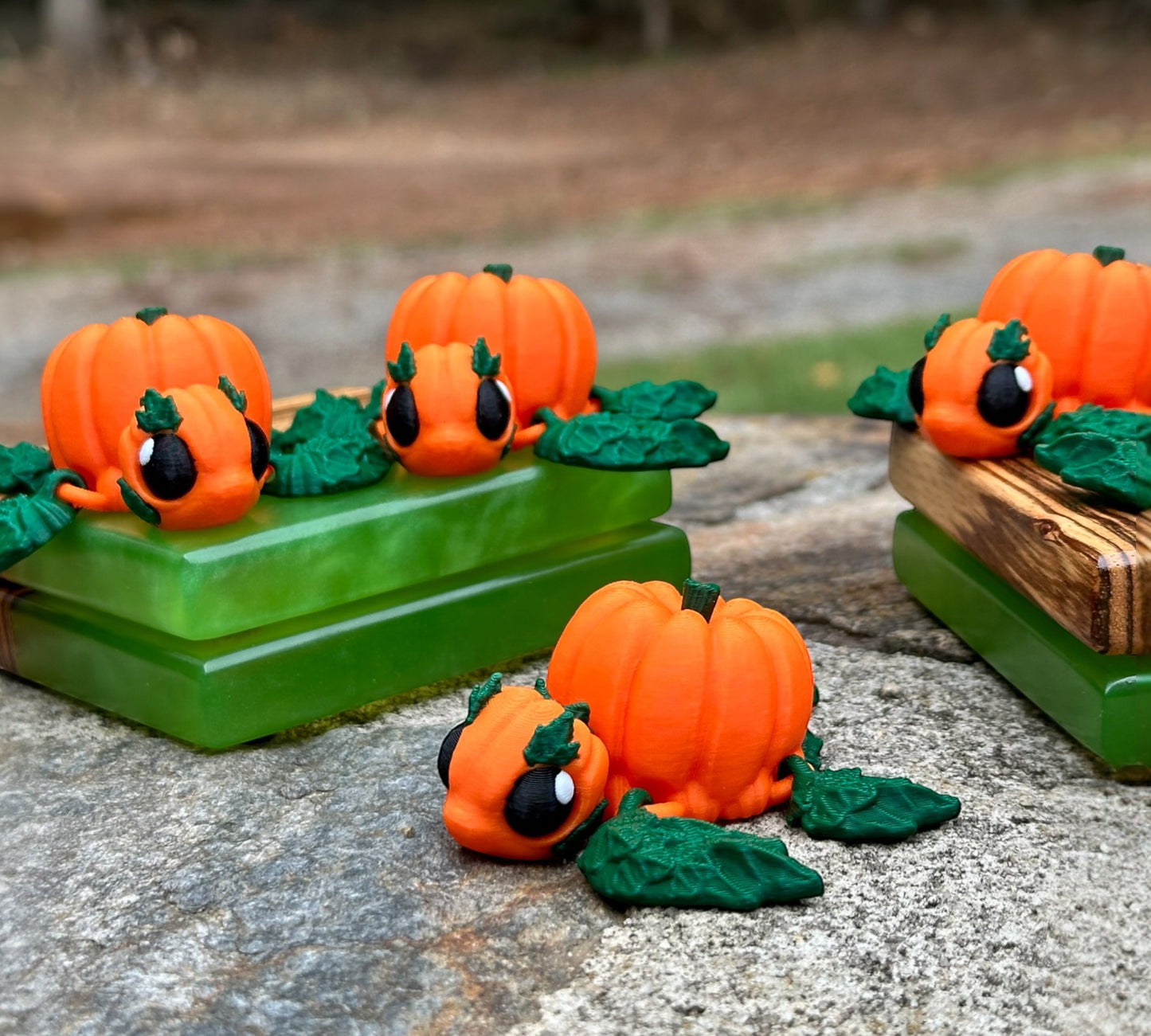 Pumpkin Turtle