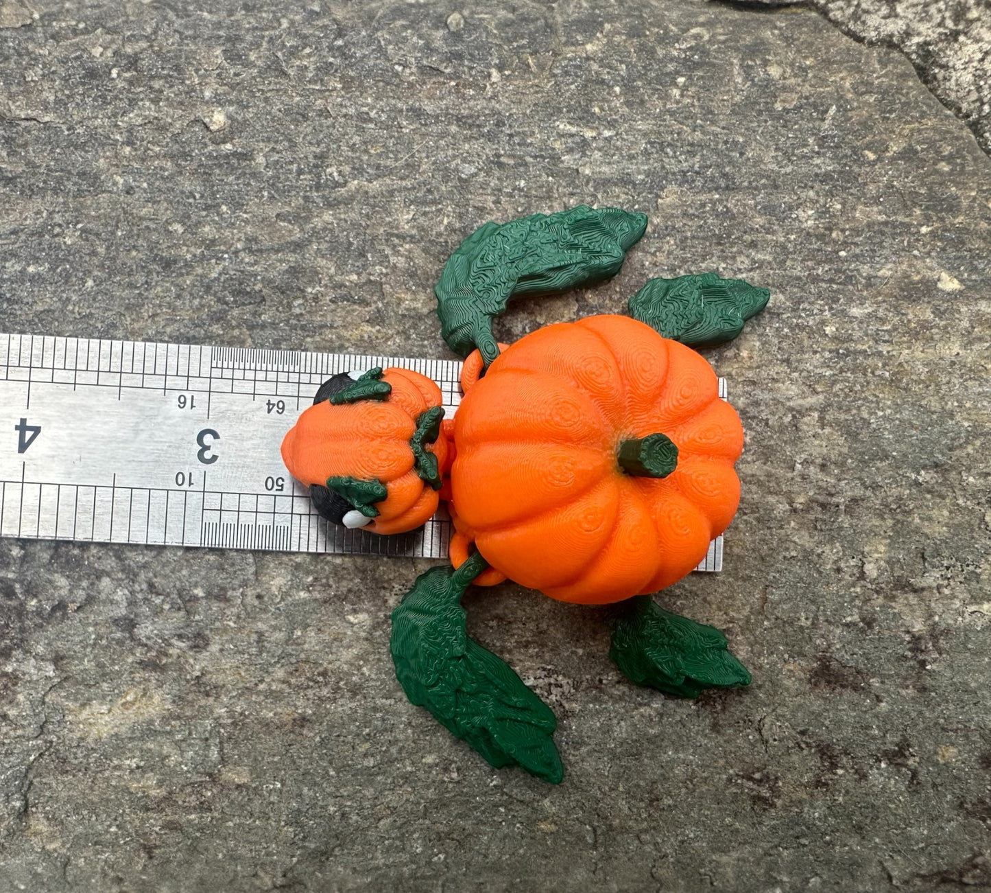 Pumpkin Turtle