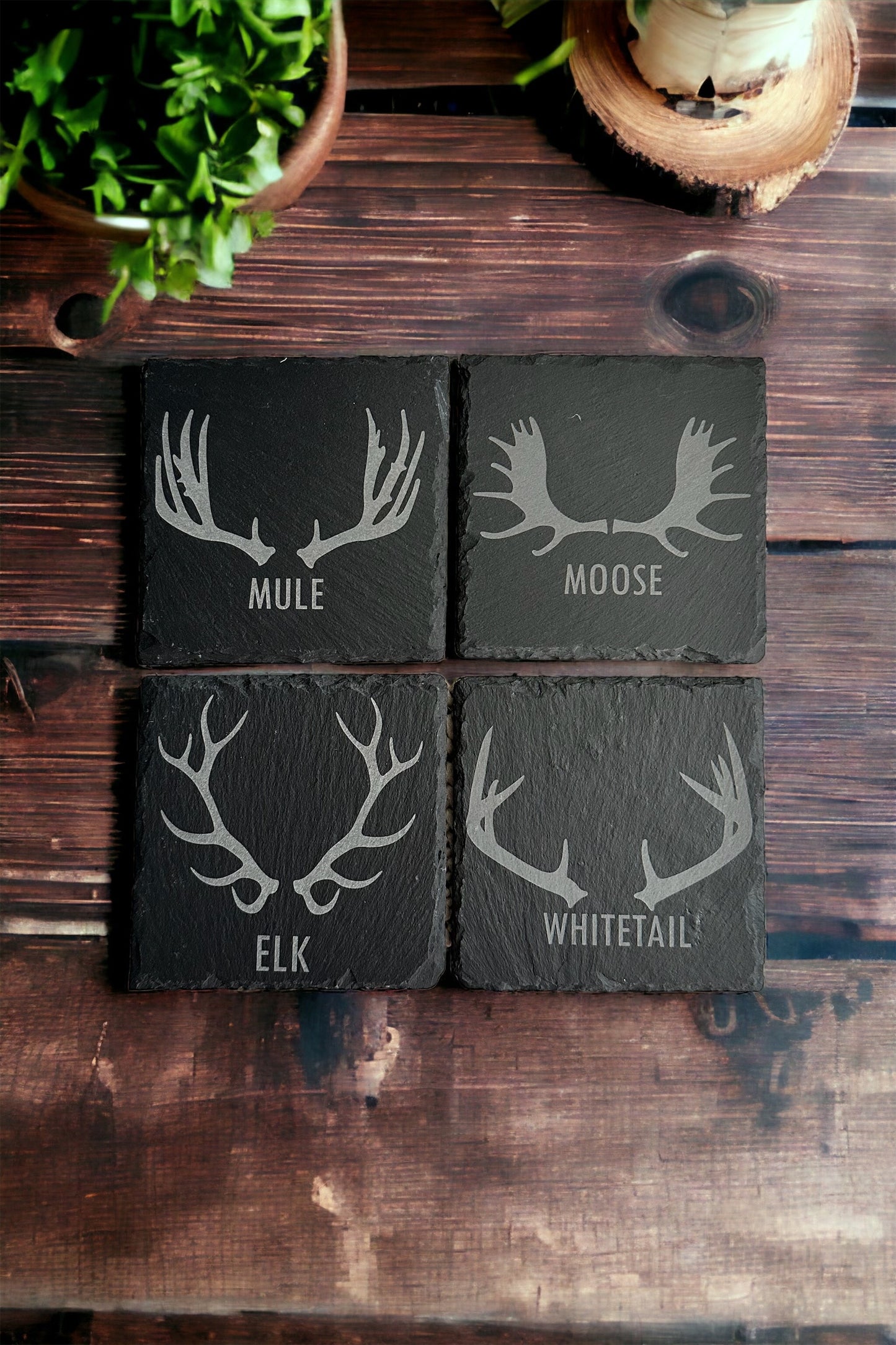 Four slate coasters each with a laser engraved design of mule, moose, elk, and whitetail deer antlers, on a wooden surface with plants in the background