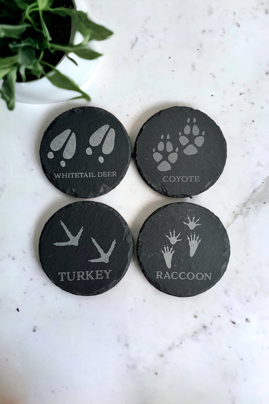 A set of four black slate coasters with different animal tracks engraved on them, including deer, coyote, turkey, and raccoon, ona marble surface with a plant in the background