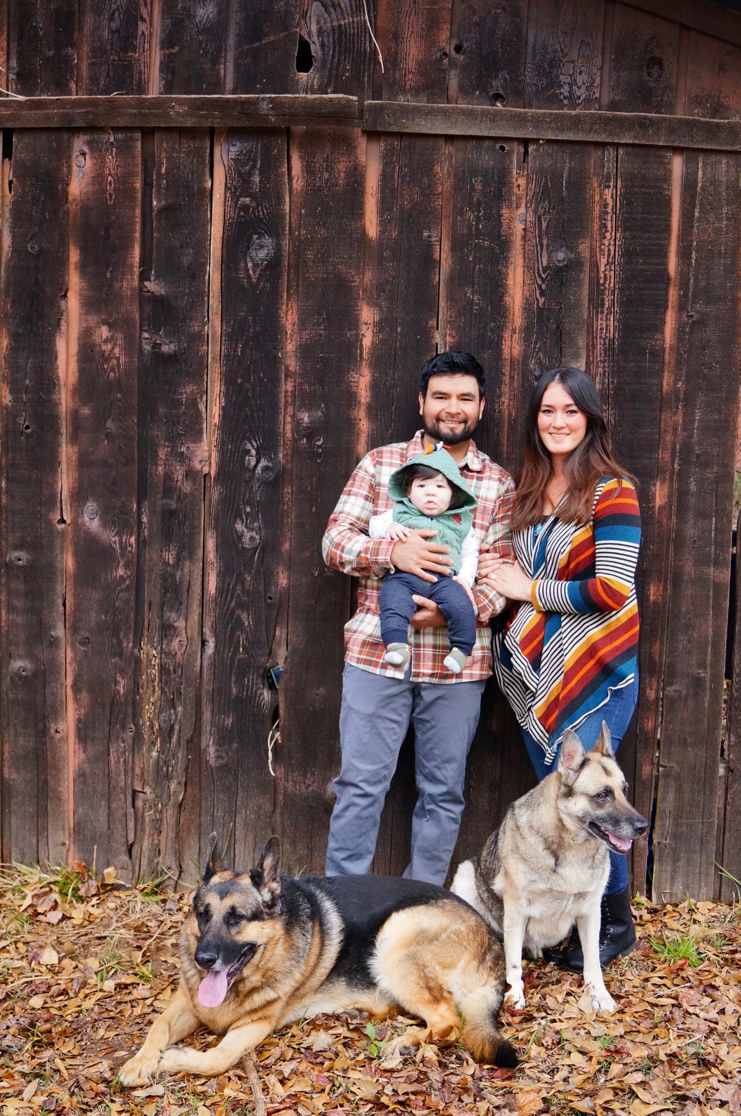 Family of three with two dogs in a natural scene with a wood background